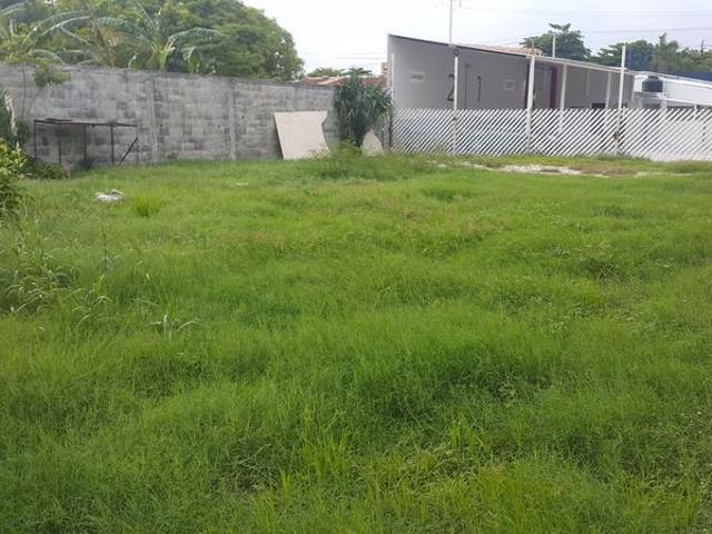 TERRENO PLANO DE 550 m2, EN RENTA. COL. FCO. I MADERO
