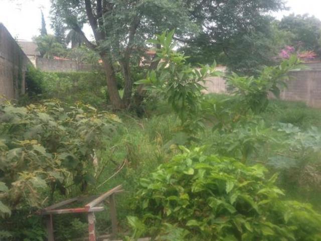 Terreno plano em Interlagos, excelente localização,Próximo ao antigo Santa Paula