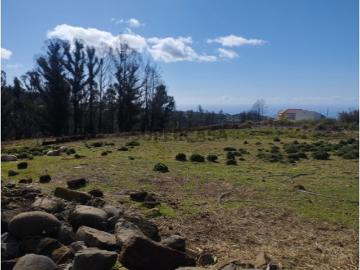 Terreno plano em zona rural, rodeado da natureza e tranquilidade
