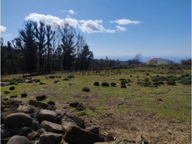 Terreno plano em zona rural, rodeado da natureza e tranquilidade