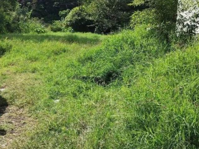 Terreno plano en Briones