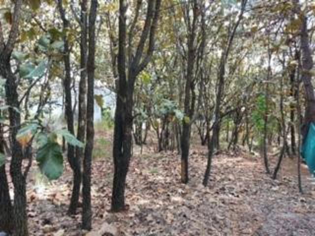 TERRENO EN EL CIELO COUNTRY CLUB TLAJOMULCO, 365 m2 FRENTE A PARQUE