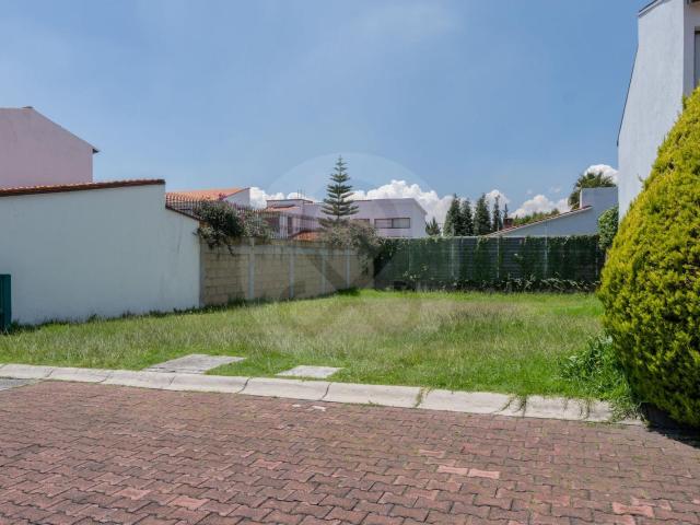 Terreno Plano en Parque de Tarango | Las Haciendas | 312 m2