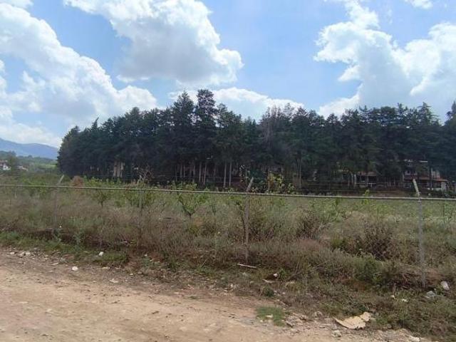 Terreno plano en venta Mazamitla