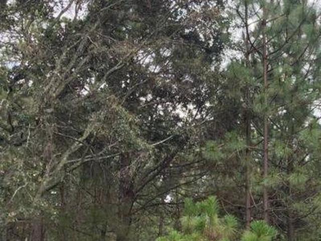 Terreno plano en venta en Cofradia Tapalpa