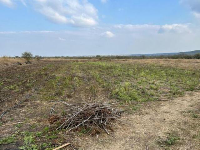 TERRENO PLANO EN VENTA EN HUALAHUISES NUEVO LEON