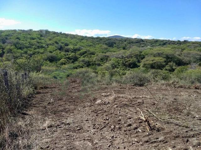 Terreno plano en venta en Puente de Ixtla