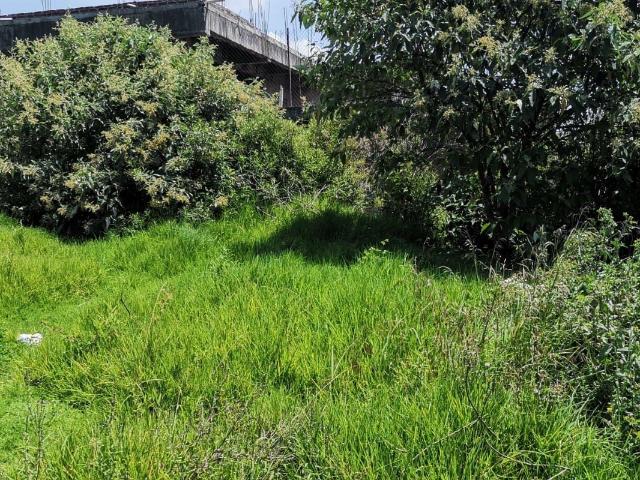 Terreno Plano en Venta en San Bernabe Ocotepec