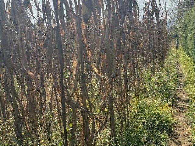 Terreno plano en venta en San Lucas del pulque