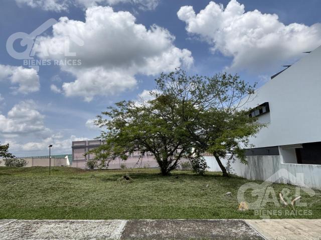 Terreno Plano en Venta Fraccionamiento Residencial el Lago Xalapa