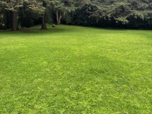 Terreno plano en venta Rancho San Francisco