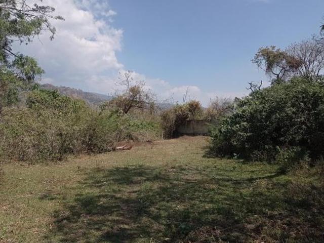 Terreno plano en venta, Tepoztlán La Presa