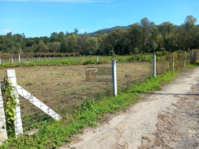 Terreno plano Junto EN101