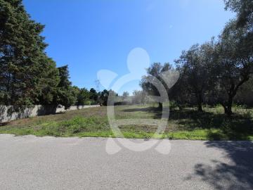 Terreno plano para construção Cantanhede