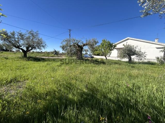 Terreno plano para construção Pesqueira, Tomar