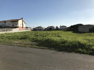 Terreno Plano para Construção