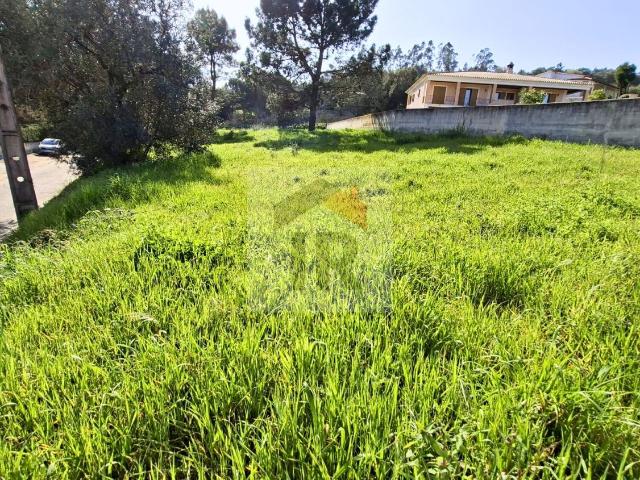 Terreno Plano para Construção