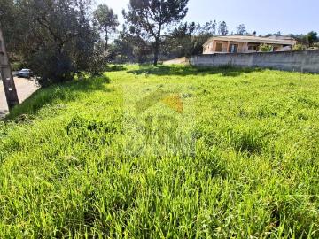 Terreno Plano para Construção