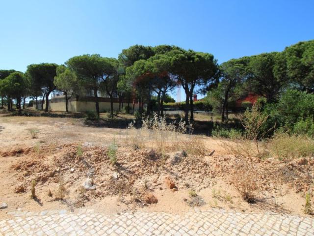 Terreno plano para construção