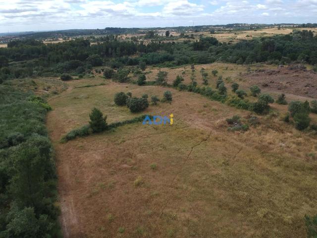 Terreno plano para venda Vale da Torre Com Ruina 1,5ha