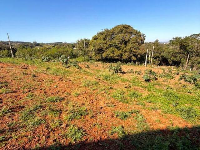Terreno Plano. Parte alta. A 500m do asfalto. A 5 minutos do bairro Cubatão. Bairro Tanquinho – Cami