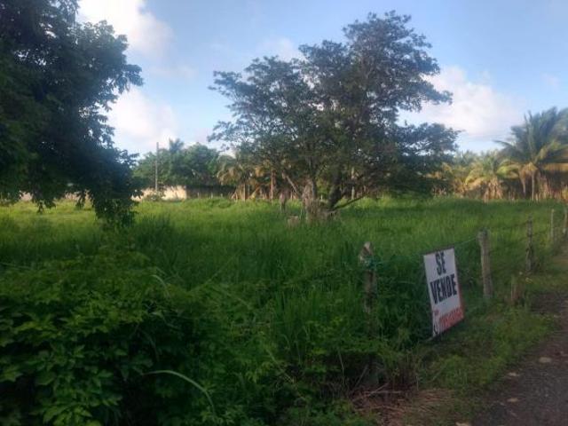 Terreno Plano por la playa de Villa Rica