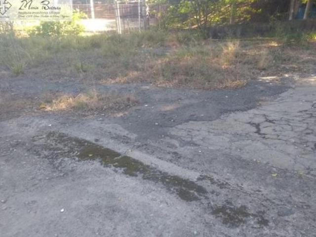 Terreno plano próximo a todo tipo de comércio
