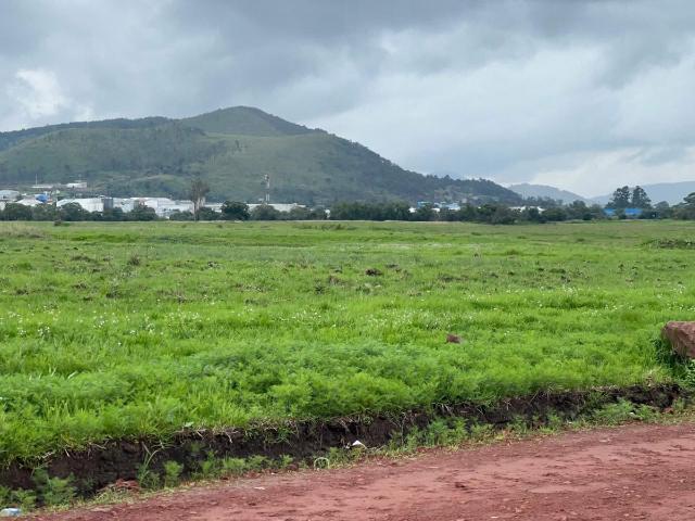 TERRENO PLANO REGULAR 160,000 m2 ESCRITURA PÚBLICA USO DE SUELO MIXTO H250A