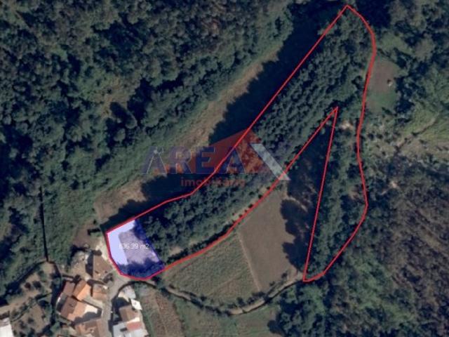 Terreno plano, todo vedado. Tem poço e pomar. Permite construir numa parte do terreno. Consulte nos!