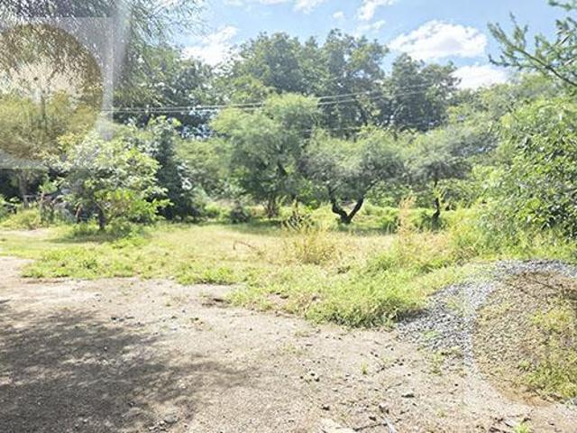 Terreno plano zona con servicios