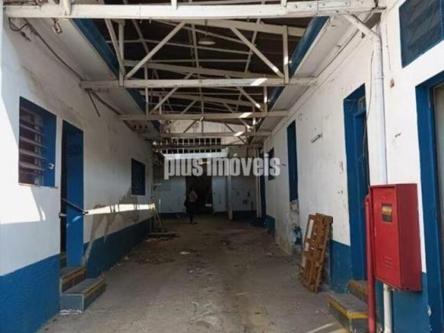 terreno plano 15 bX 50 m2 vila Romana
