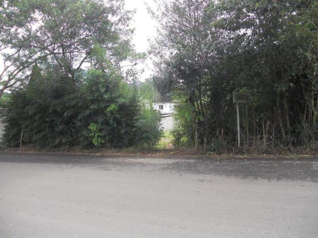 TERRENO PLANO