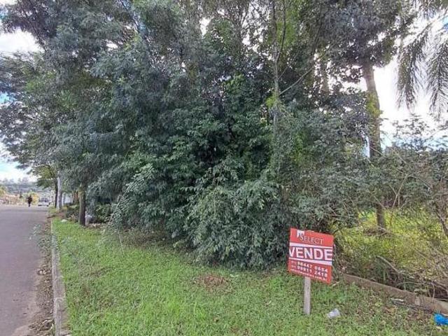 Terreno plano