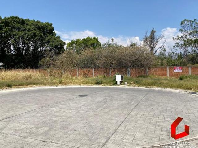 Terreno plano 428m2 en Fracc. Residencial Pavorreal, Jiutepec Morelos
