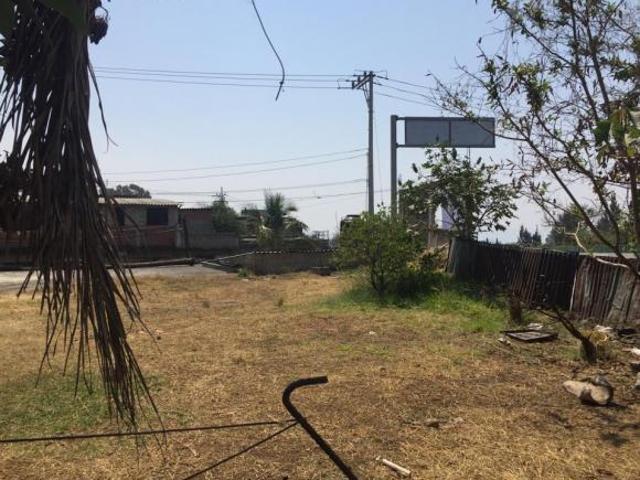 TERRENO PLANO