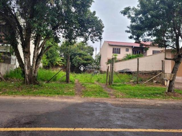 Terreno plano