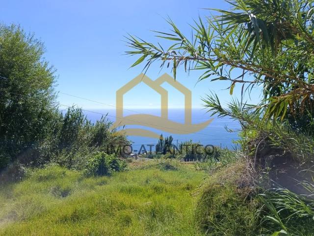 TERRENO PLANO 939M2 ARCO DA CALHETA