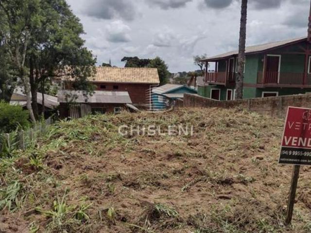 TERRENO PLANO
