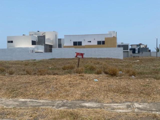 Terreno Playas del Conchal