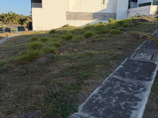 Terreno Playas del Conchal