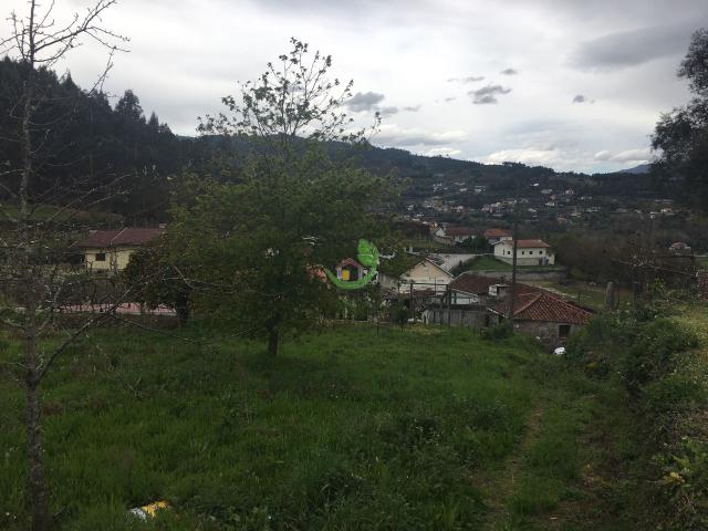 Terreno Ponte da Barca
