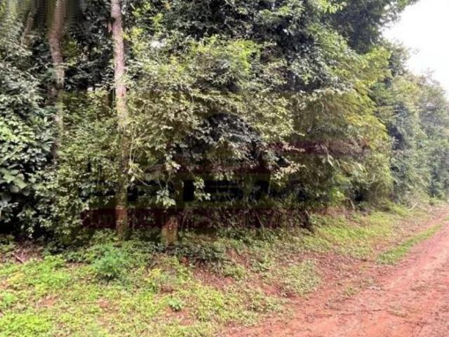 Terreno, Ponunduva, Cajamar, SP