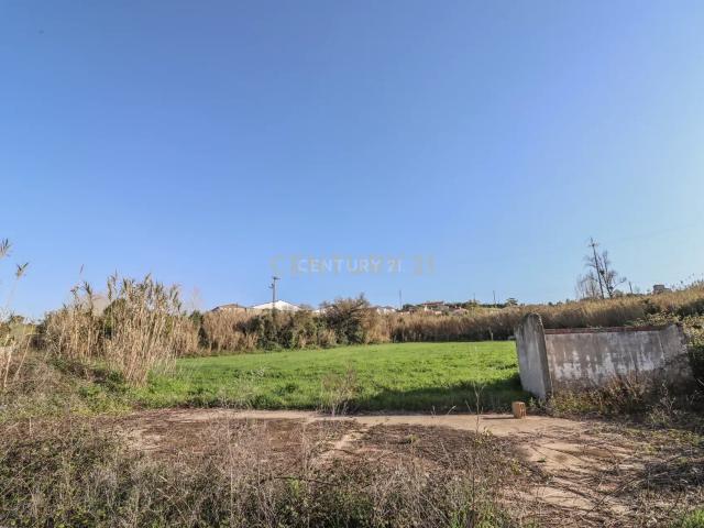 Terreno possibilidade Construção | 68.205m2 | Montemor o Velho