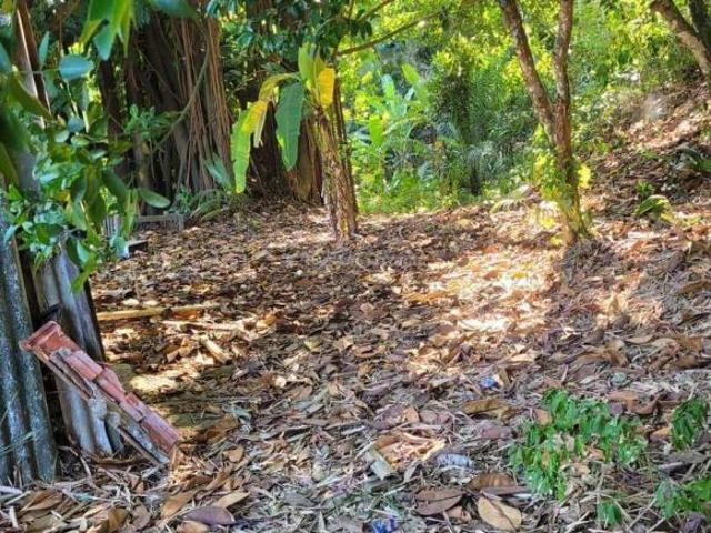 Terreno, Portinho, Ilhabela R$ 1.6 mi, Cod: 1827