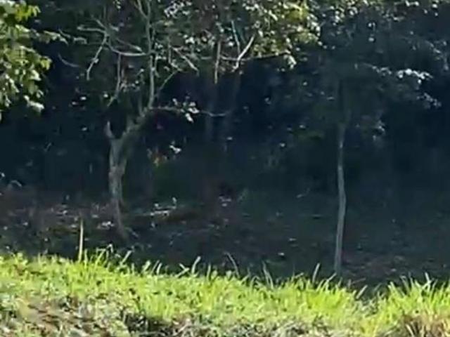 TERRENO POZA RICA, Veracruz