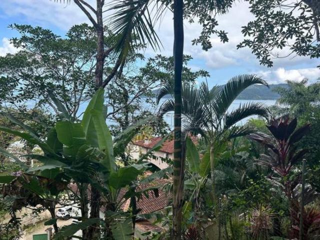 Terreno, Praia da Enseada, Ubatuba R$ 1.2 mi, Cod: 4479