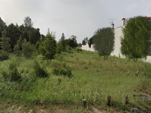 Terreno Praia de Mira para construção de moradia