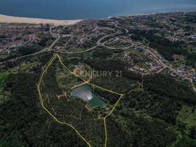 Terreno Premium na Figueira da Foz