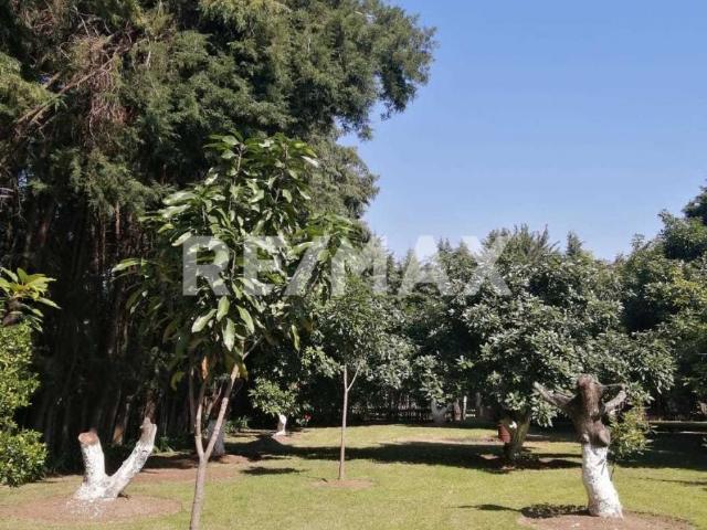 Terreno Productivo en Venta, Tenancingo, Estado de México