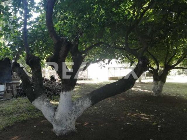 Terreno Productivo en Venta, Tenancingo, Estado de México. 4
